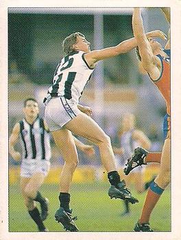 1992 Select AFL Stickers #74 Troy Lehmann Front